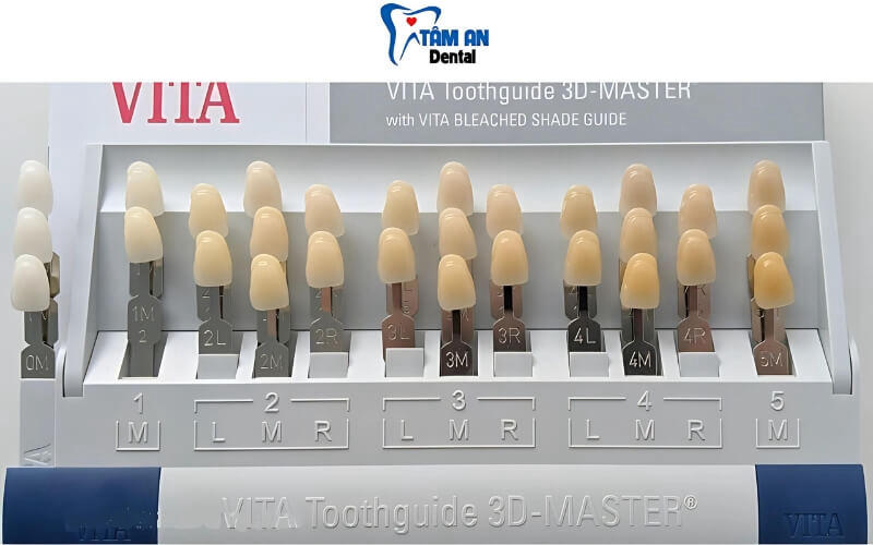 Bảng màu răng sứ Vita 3D Master gồm 29 màu chia thành 5 mức độ sáng tối